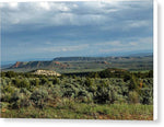 Spring Green in the Desert - Canvas Print