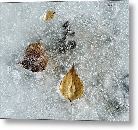 Spring Thaw - Metal Print