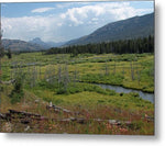 The Thorofare Wilderness - Metal Print