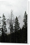 Thorofare Buttes in Fog - Canvas Print