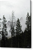 Thorofare Buttes in Fog - Canvas Print