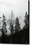 Thorofare Buttes in Fog - Canvas Print