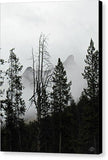 Thorofare Buttes in Fog - Canvas Print