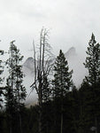 Thorofare Buttes in Fog - Art Print