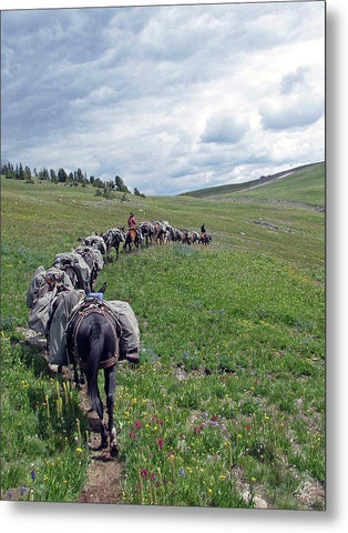 Through High Meadows - Metal Print