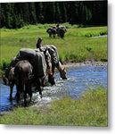 Time to Drink - Metal Print