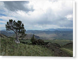 Wyoming Landscape - Canvas Print